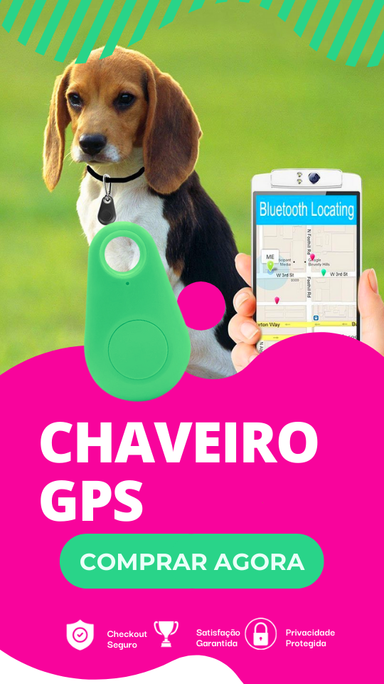 Chaveiro GPS