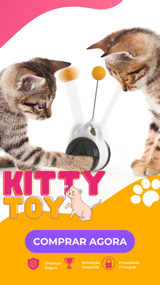 Kitty Toy